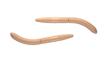 Libra Lures Fatty D Worm 65mm, Pellet 035,Cheese